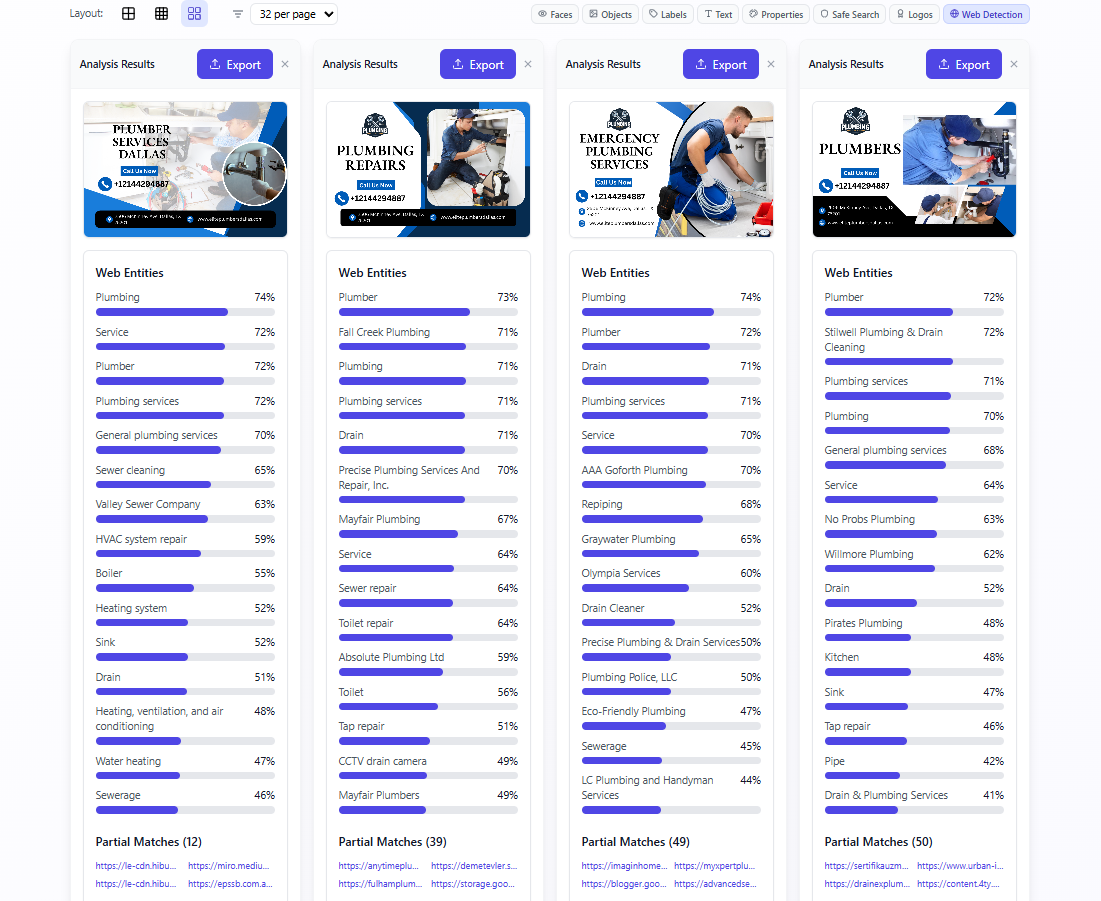 Web Detection 1